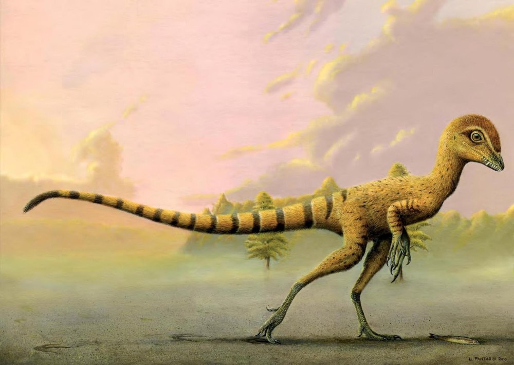 Scipionyx Samniticus
