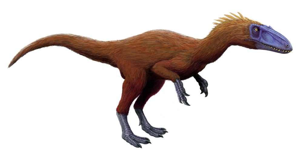 Gualicho shinyae