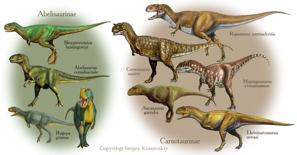 Abelisaurus comahuensis