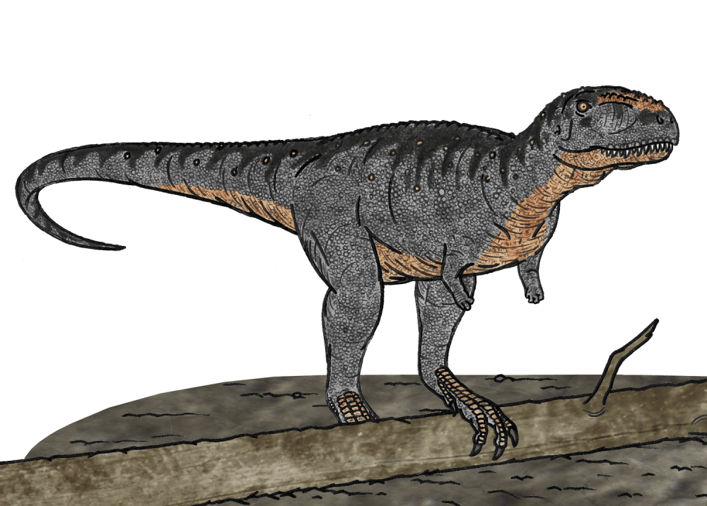 Eoabelisaurus mefi