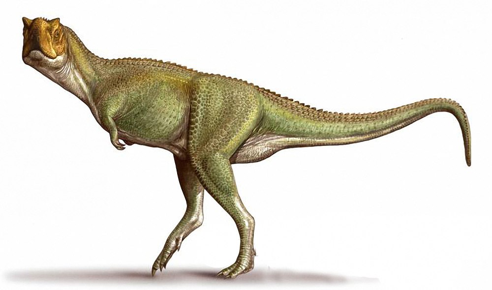Xenotarsosaurus bonapartei