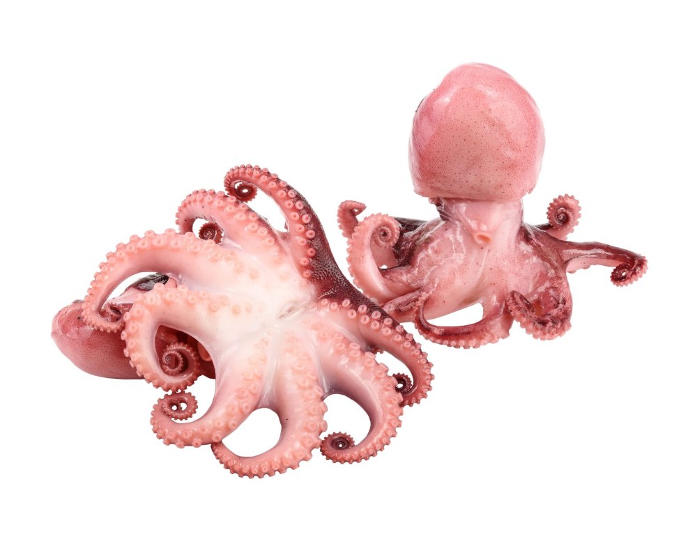 Фигурка Mojo Sealife осьминог 387275