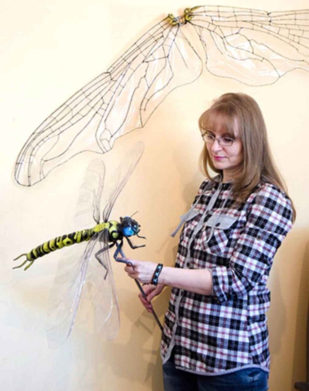 Меганевра Стрекоза