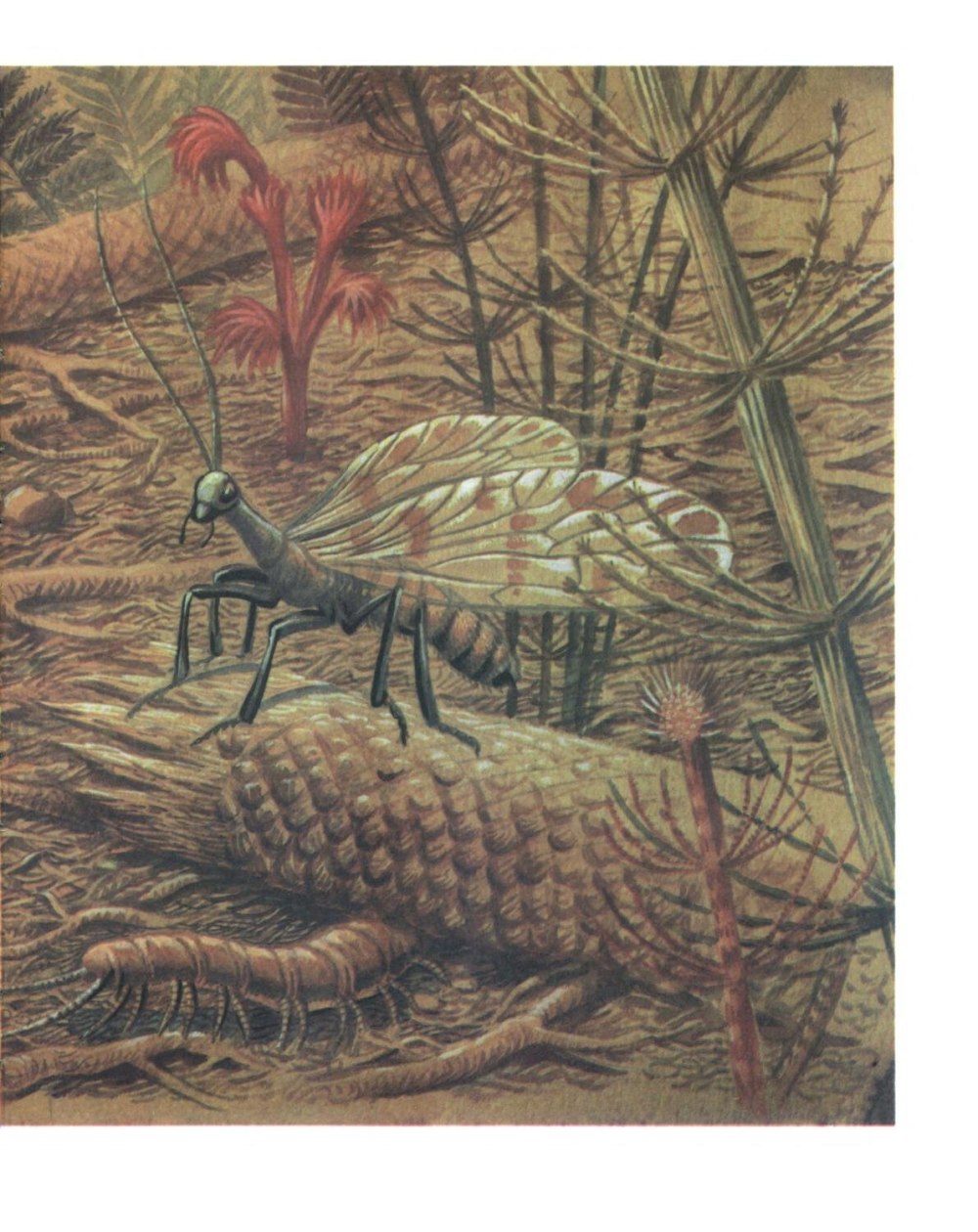 Насекомые Триасового периода