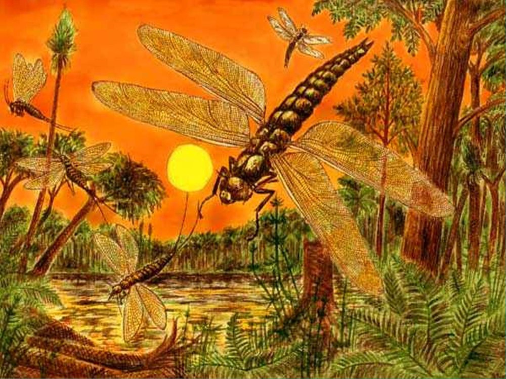 Древняя Стрекоза Меганевра