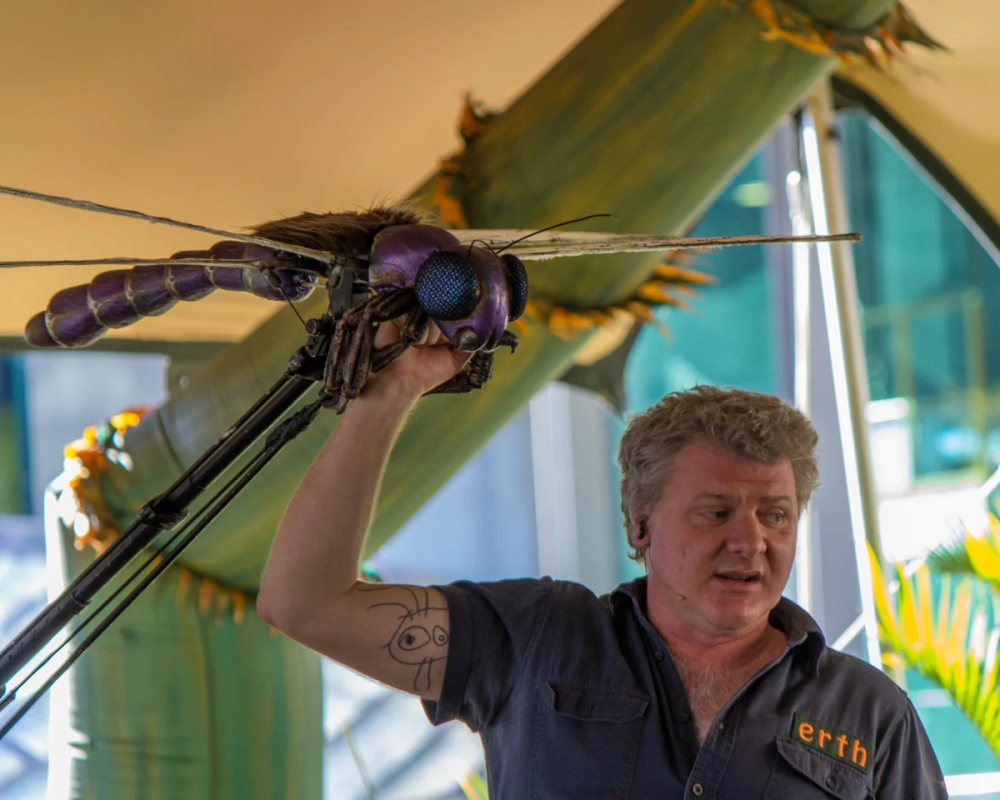 Гигантская Стрекоза Меганевра