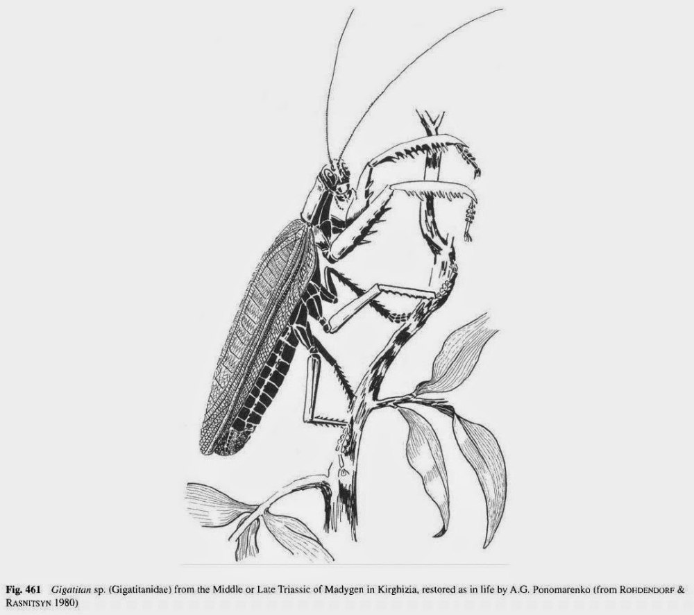 Титаноптеры Триасового периода