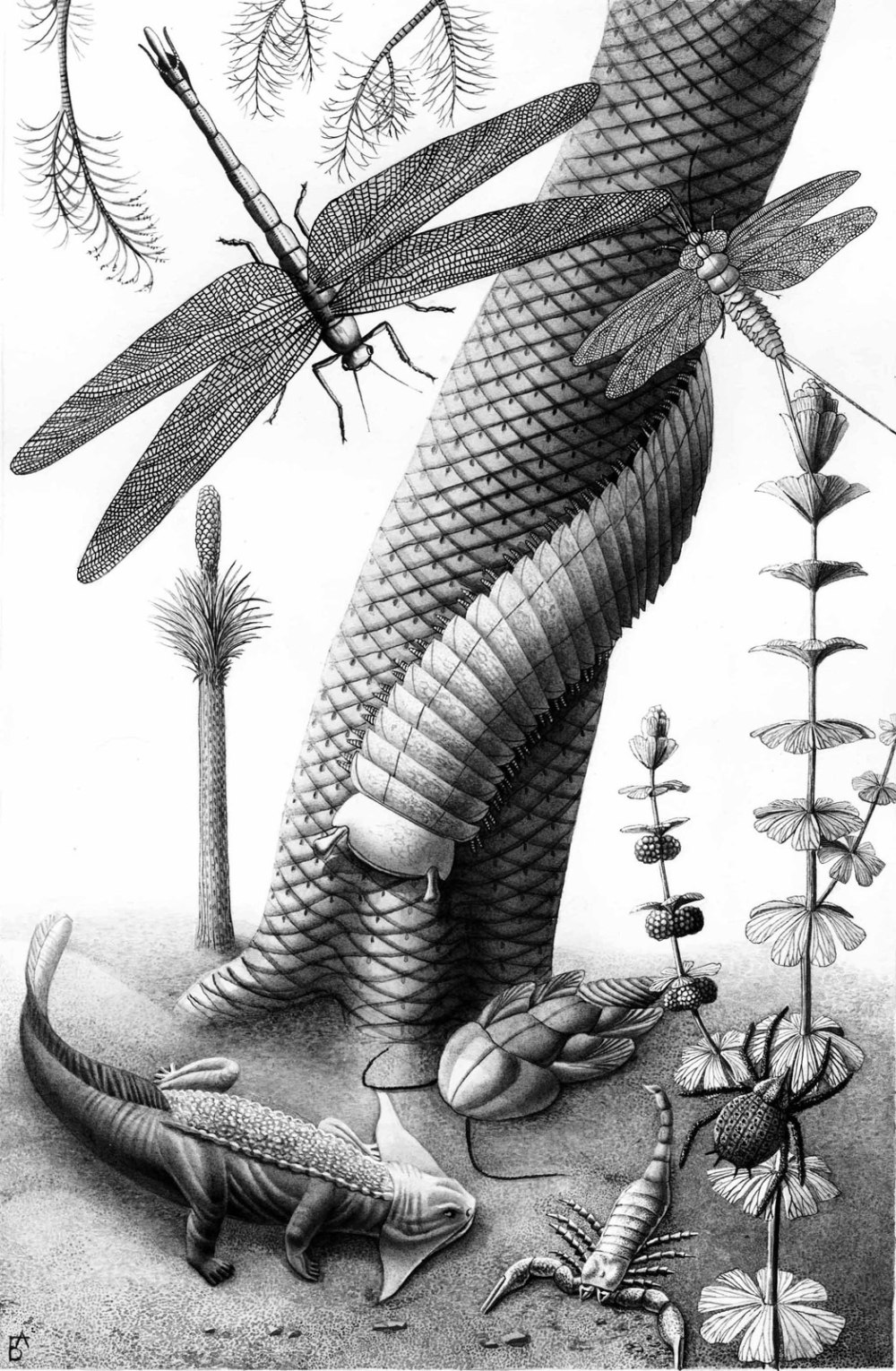 Стрекоза каменноугольного периода