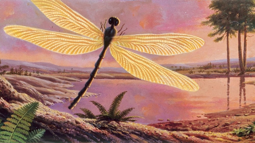 Меганевра Эра