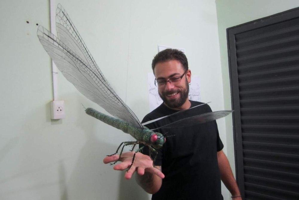 Гигантская Стрекоза Меганевра