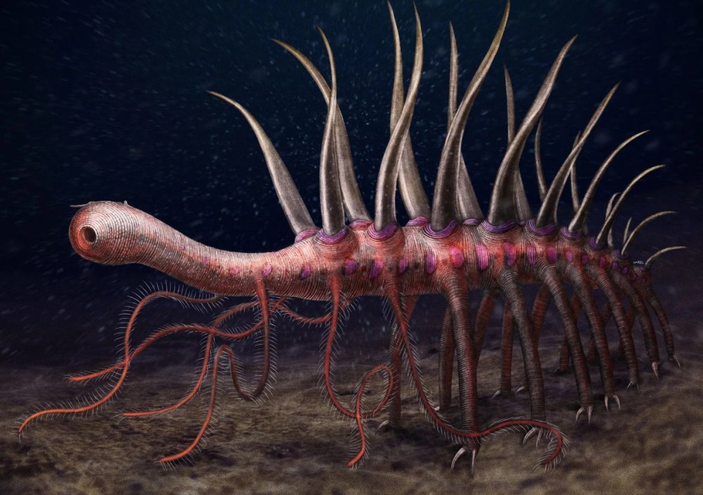 Галлюцигения (Hallucigenia)