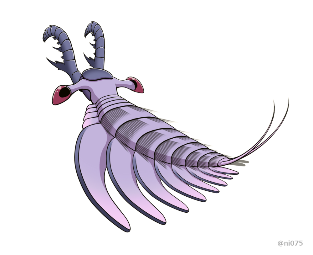 Lyrarapax