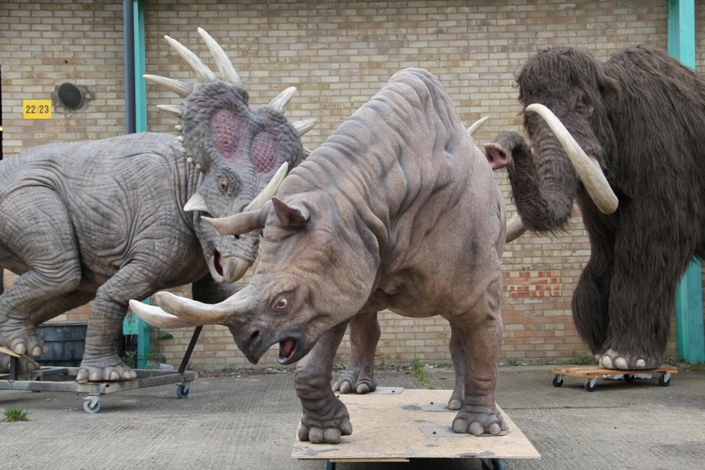 Primitive brothers all creatures