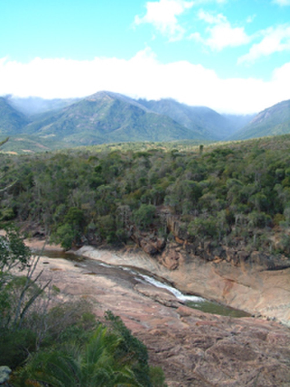 Andohahela National Park Мадагаскар