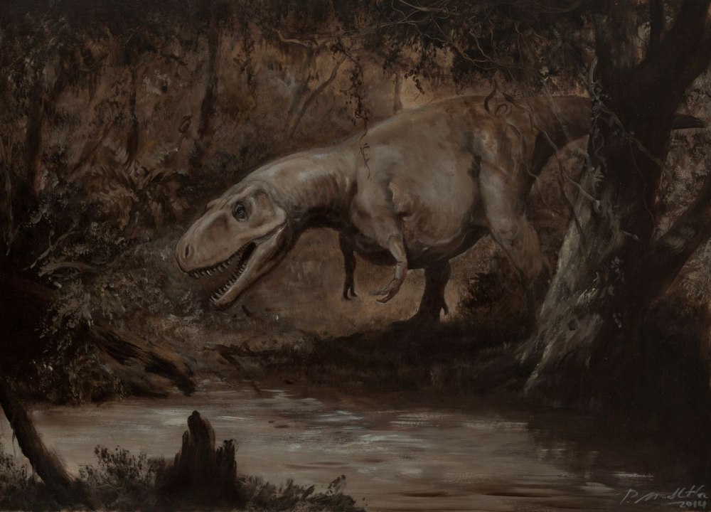 Daspletosaurus torosus