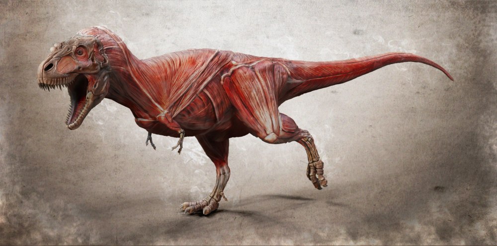 Daspletosaurus horneri