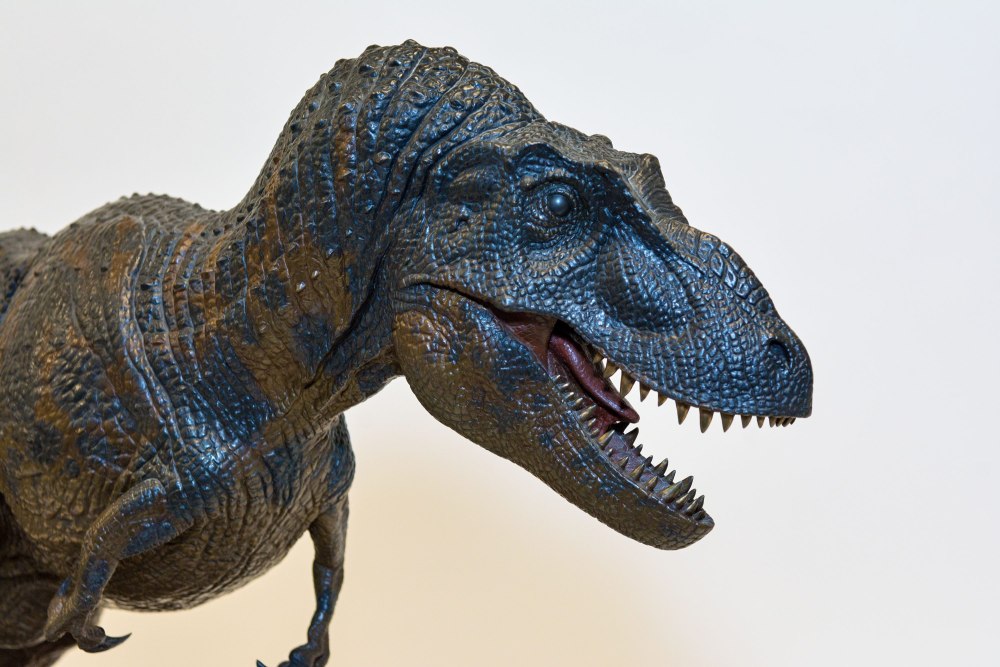 Daspletosaurus torosus