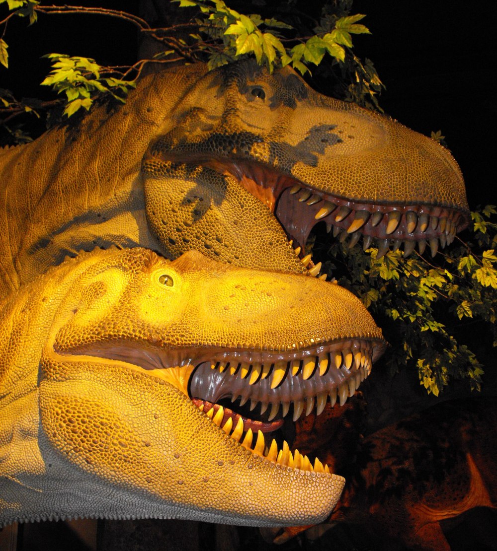 Daspletosaurus horneri