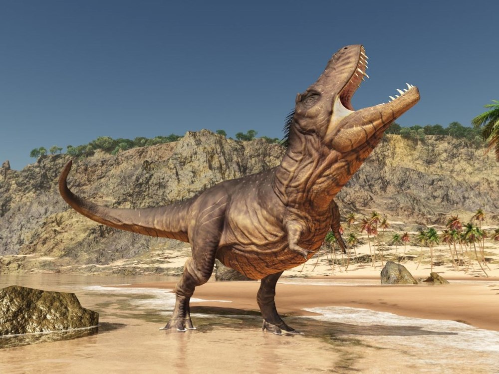Eustreptospondylus Oxoniensis