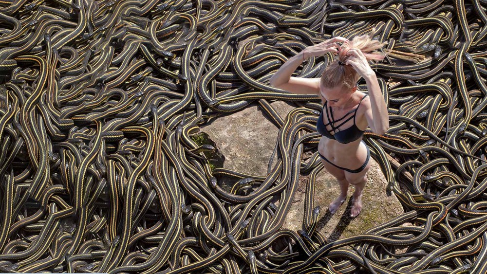 Snake Island