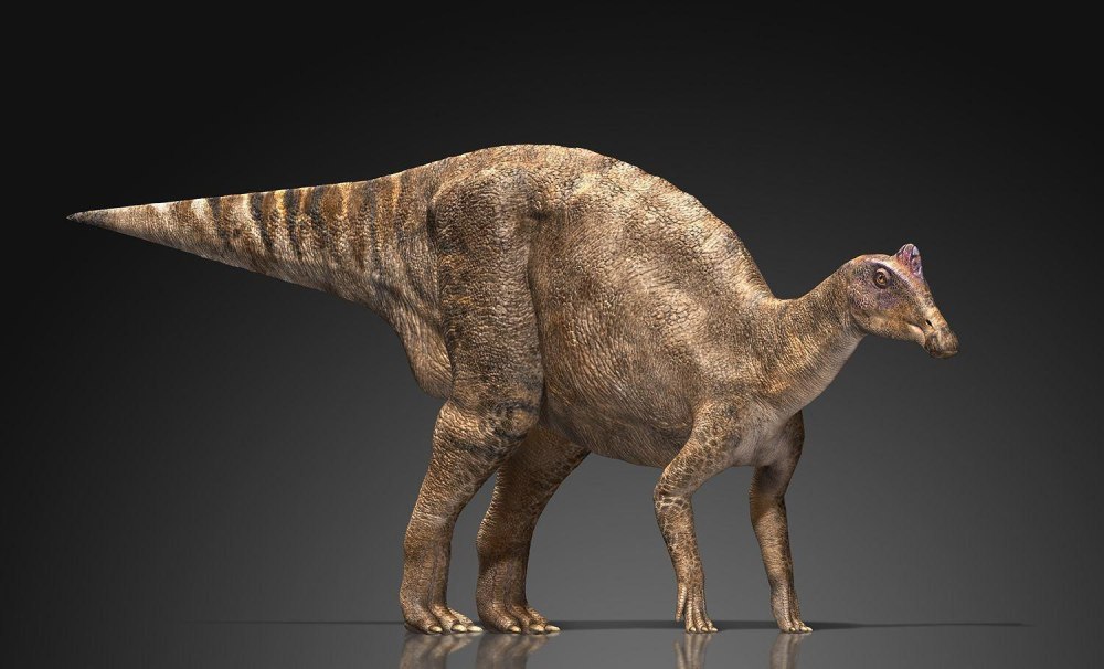Nipponosaurus sachalinensis