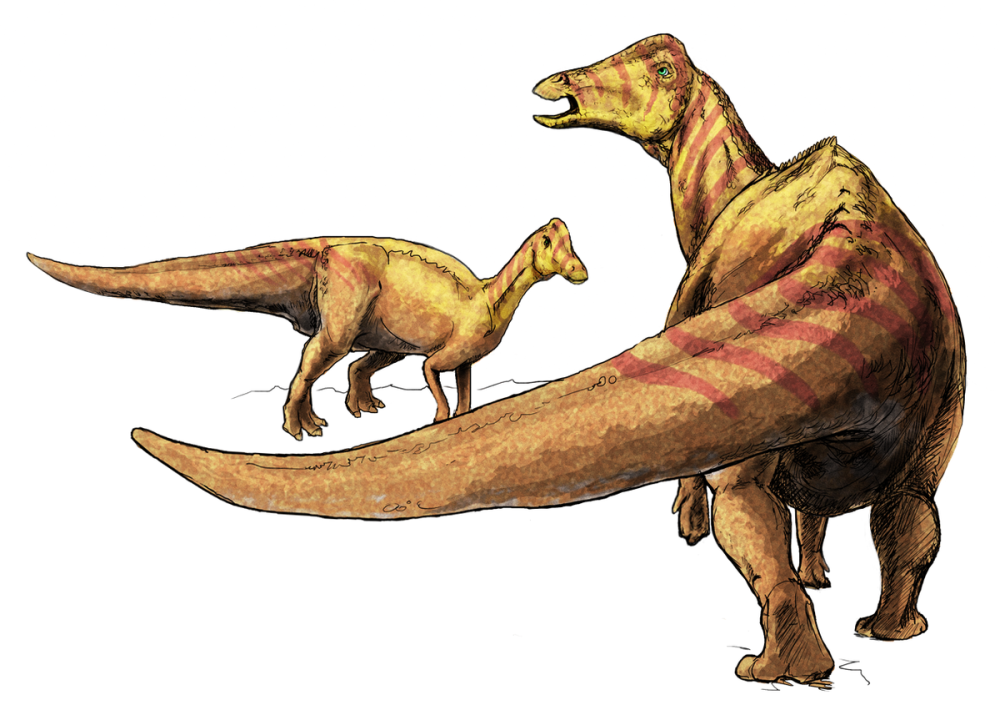 Nipponosaurus sachalinensis