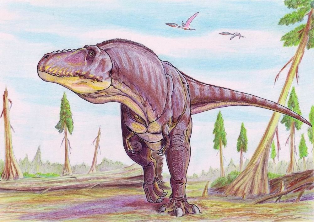 Tarbosaurus BATAAR
