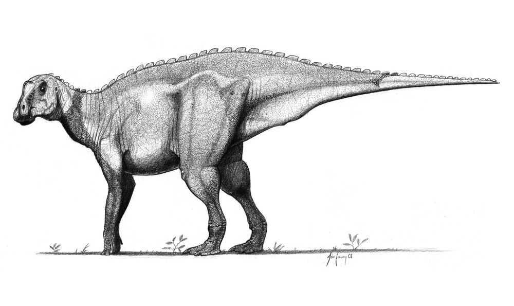 Gryposaurus monumentensis