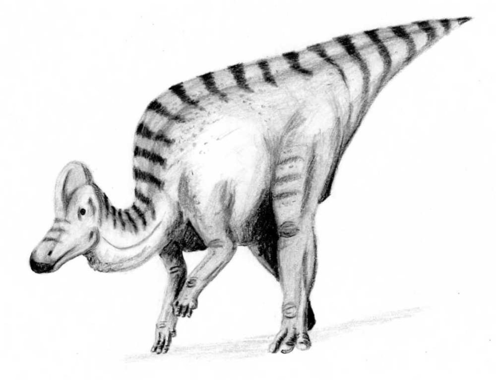 Кори Коритозавр