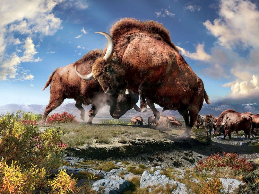 Первобытный Бизон Bison Priscus