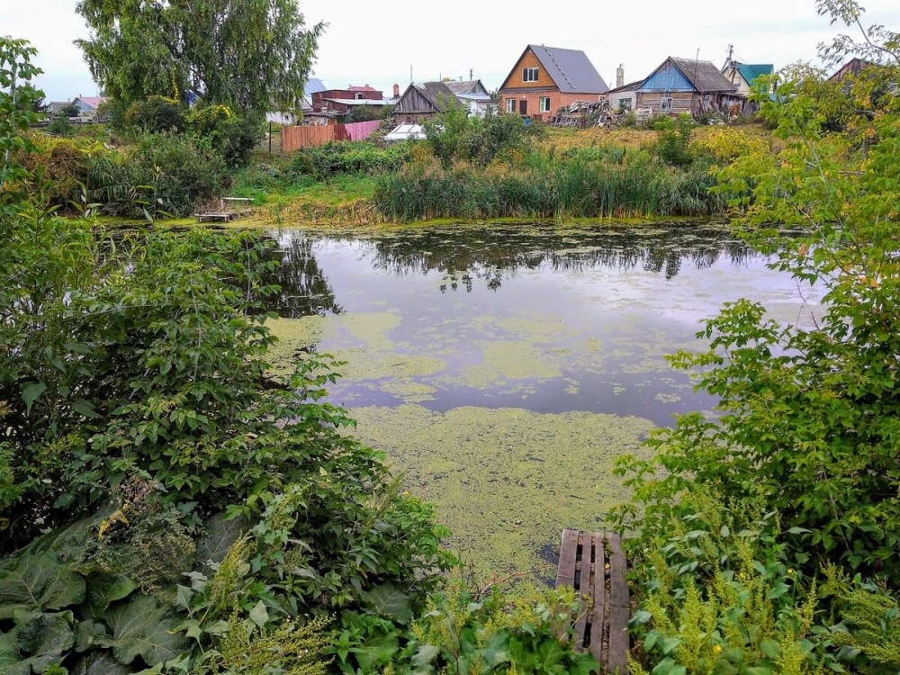 Родниковые пруды Ульяновская область