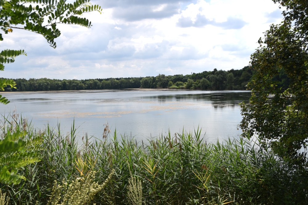Mainflingen