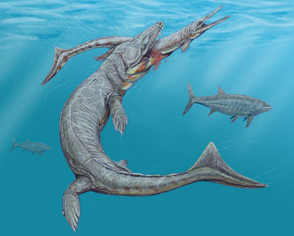 Дакозавр (Dakosaurus)