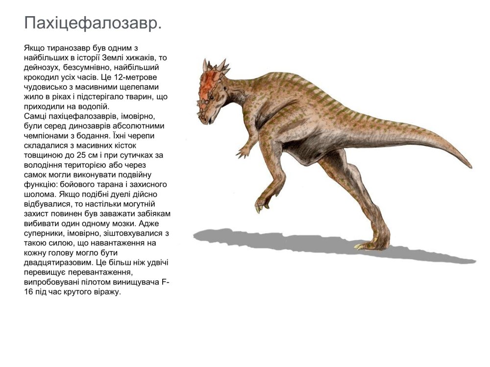 ДРАКОРЕКС динозавр