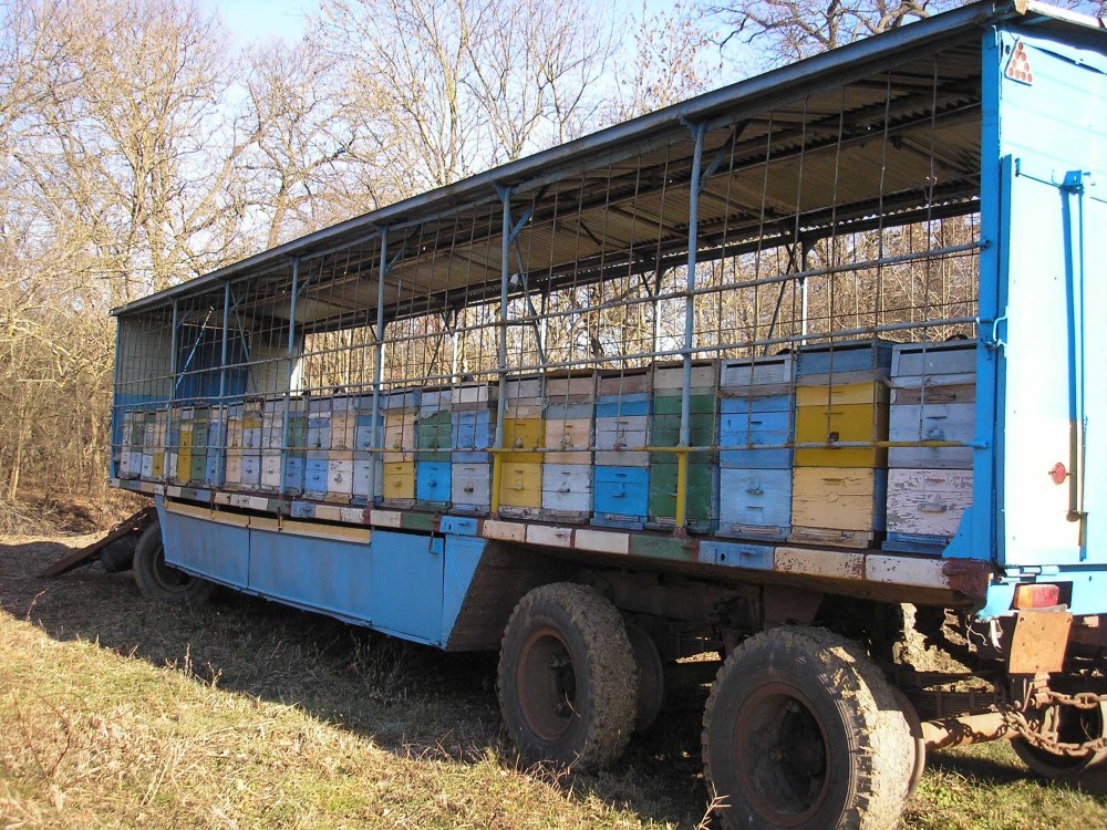 Пчелопавильон на ГАЗ 53