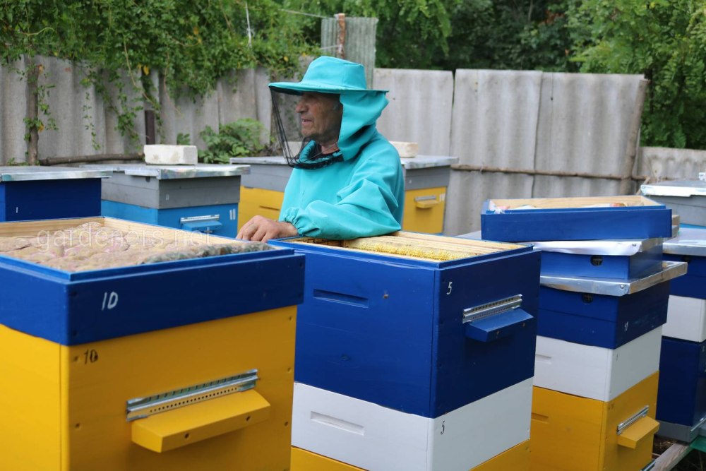 Перевозка пчел