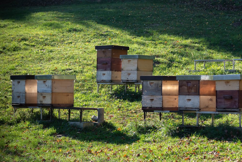 ФГУП Майкопское пчелохозяйство