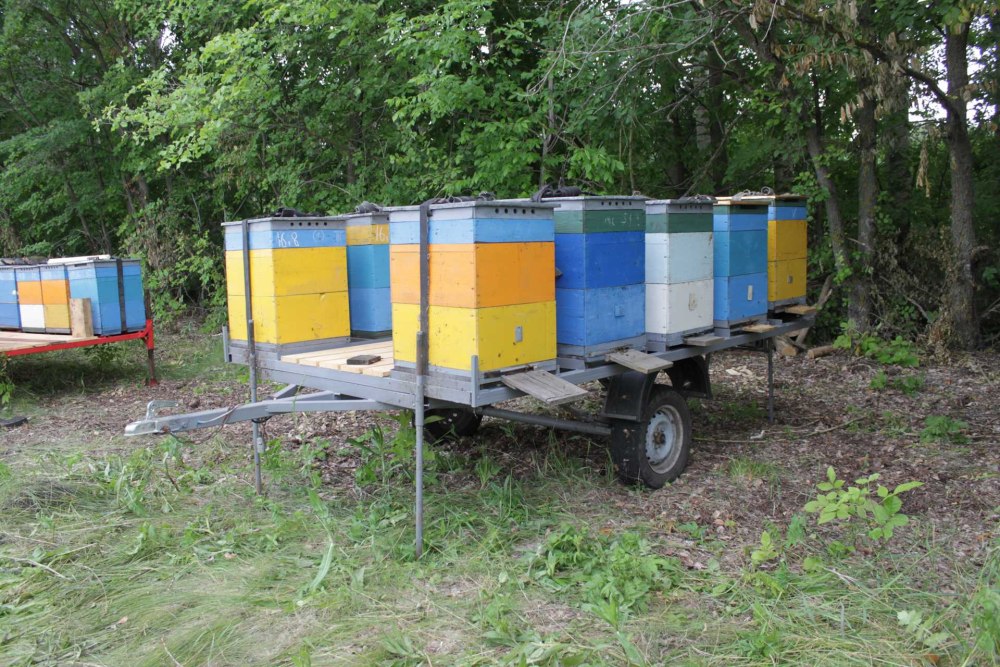 Орион пчелоприцеп