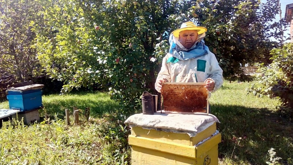 Пасека Яковлева Башкирия