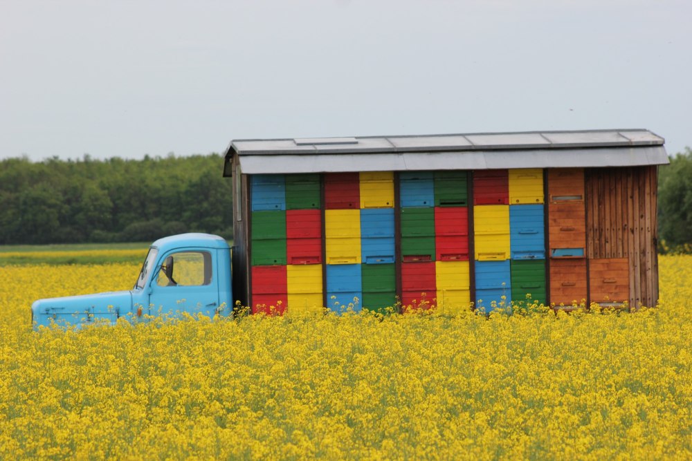 Кочевая пасека на колесах