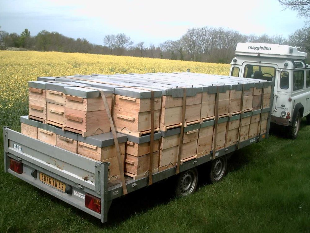 Прицеп пчеловодческий легковой