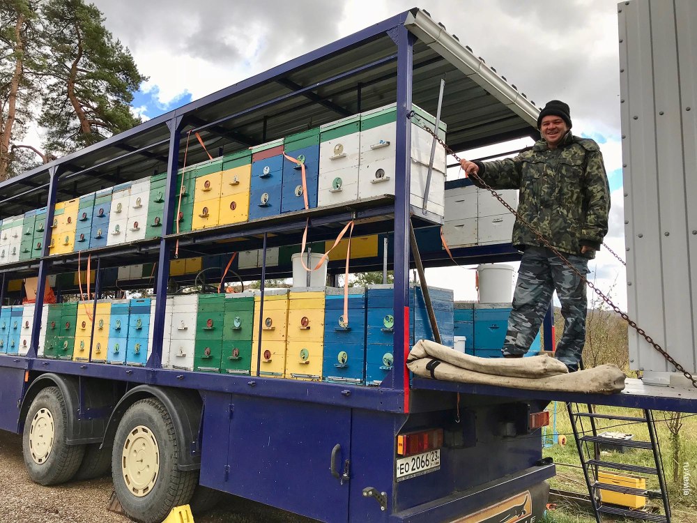 Прицеп «пасека седельная-24» (“ось”)