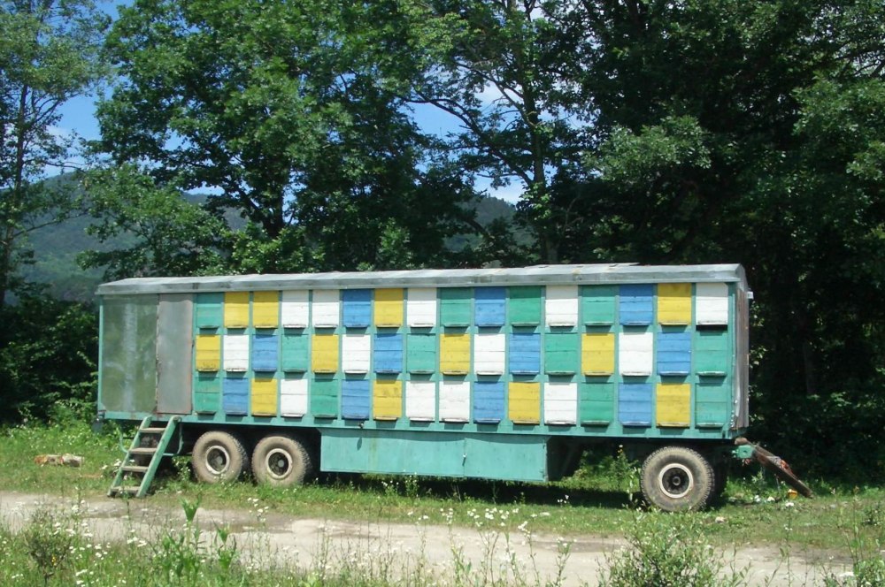 Пчелопавильон прицеп для пчел
