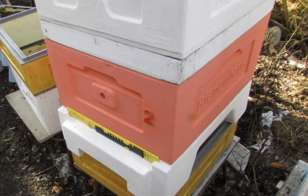 Улей в сентябре