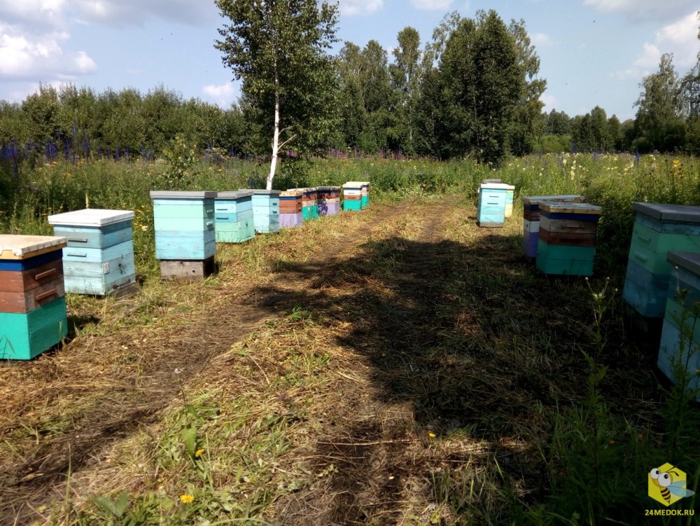 Кочевая пасека ЗИЛ