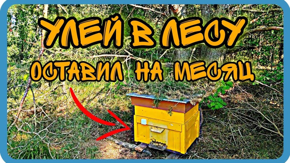 Скрепы для пчеловодных уликов