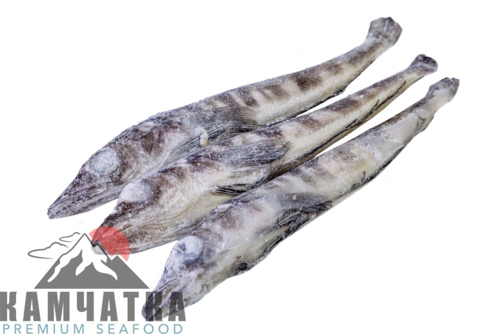 Рыба Камчатки Киров