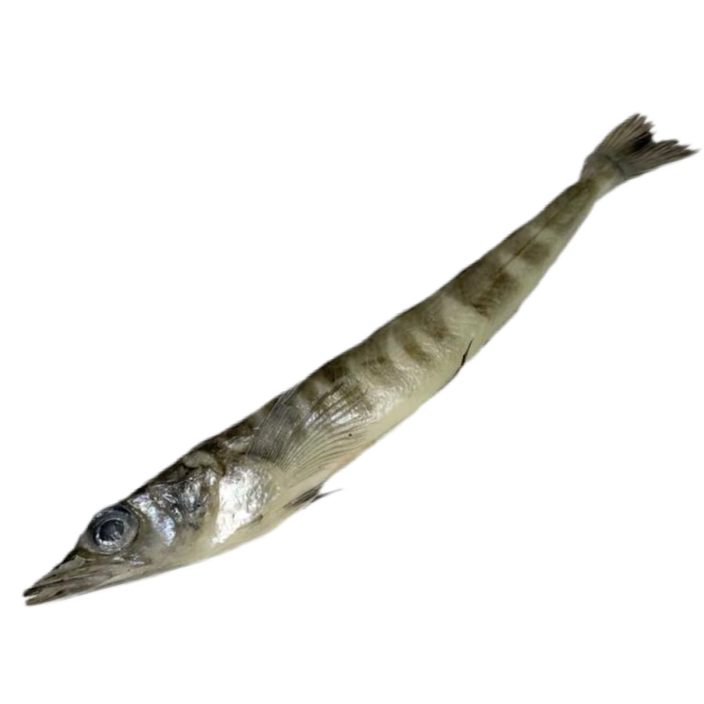 Ледяная рыба Живая