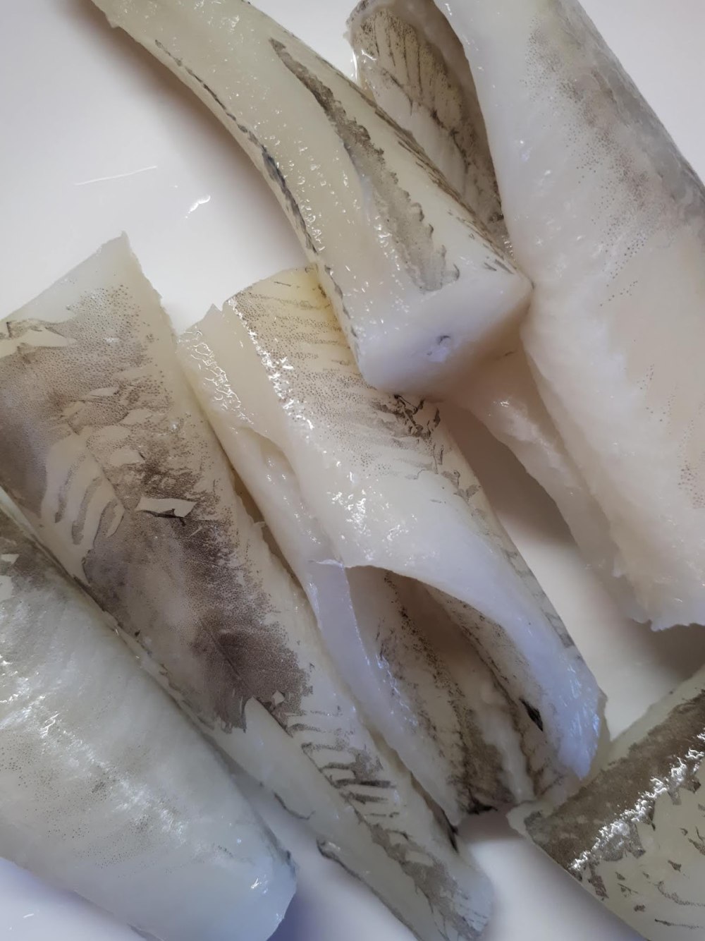 Ледяная рыба чешуя