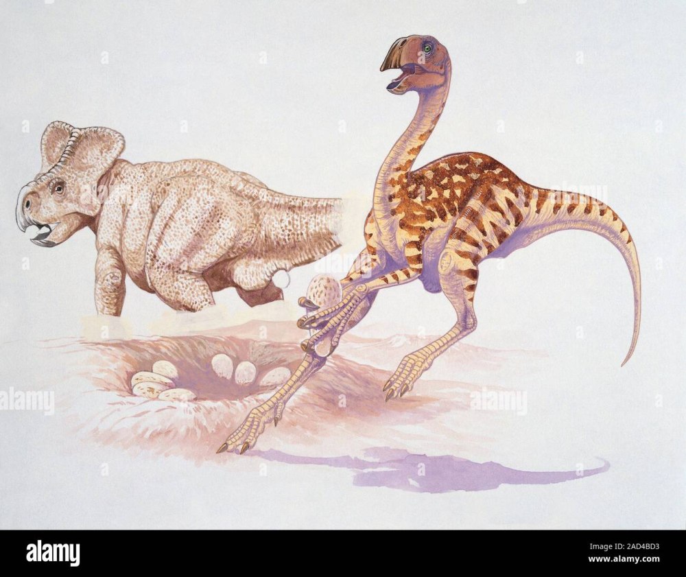 Dinosaur Neera laying Egg